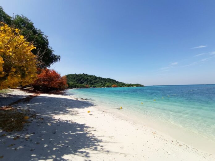 Остов/паттайя