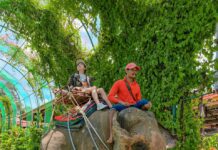 ПРОГУЛКА НА СЛОНАХ СЛОНАХ